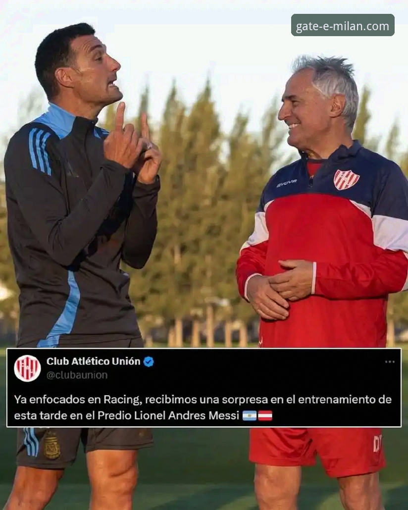 阿根廷世界杯征程的战术变量解析：从帕尼切利伤退看斯卡洛尼的B计划